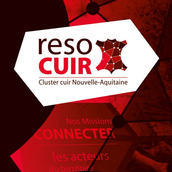 Design reso cuir nouvelle aquitaine