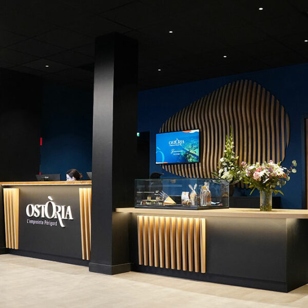 design espace accueil hotel